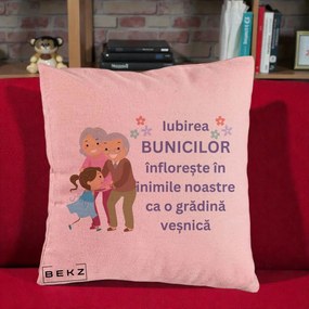 Cadou pentru Bunici - Perna Personalizata Bunicii Iubirea Infloreste Bunici cu Nepoata Colorat, 40x40 cm, Roz, Husa Detasabila, Perna Inclusa, BEKZ®