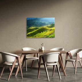 Tablou pe sticlă - Concert Terase de orez (70x50 cm)