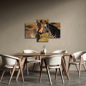 Tablou - Două zebre (90x60 cm)