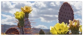 Tablou cu floarea de cactus Opunție (120x50 cm)