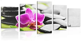 Tablou 5-piese natura moartă wellness cu orhidee violetă