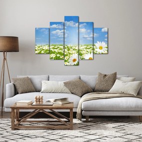 Tablou cu luncă înflorită cu margarete (150x105 cm)