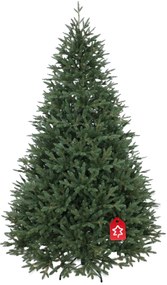 Molid Canadian 100 % 180 cm