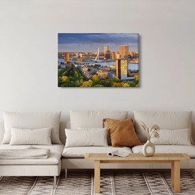 Tablou - Panorama Rotterdamului, Țările de Jos (90x60 cm)