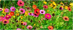 Tablou cu flori de luncă (120x50 cm)