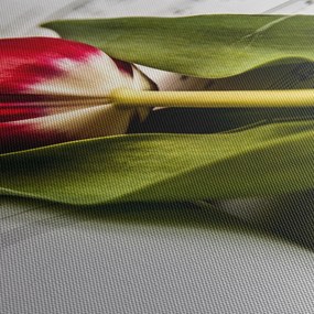 Tablou - Lalea roșie (cu ceas) (90x30 cm)
