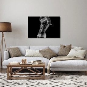 Tablou - Artă masculină (90x60 cm)