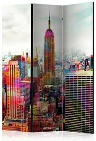 Paravan - Colors of New York City [Room Dividers]