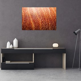 Tablou - Detaliu de textură (90x60 cm)