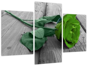 Tablou - Trandafir verde (90x60 cm)