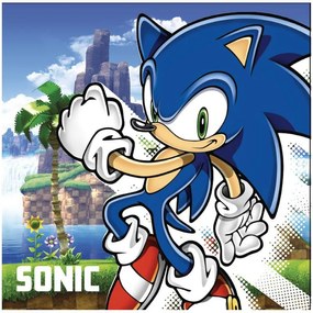 Sonic Ariciul Island Prosop de mână și față , 30x30cm