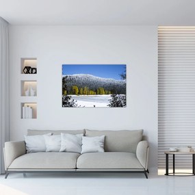 Tablou - munții înzăpeziți iarna (90x60 cm)