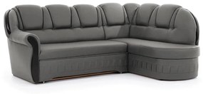 Coltar extensibil Lord pe dreapta Nube 5