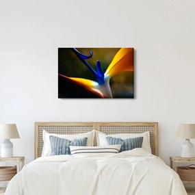 Tablou - Floare exotică (90x60 cm)