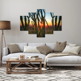 Tablou - Plante (150x105 cm)