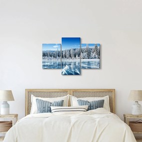 Tablou cu lacul înghețat și copacii înzăpeziți (90x60 cm)