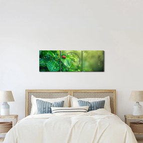 Tablou - Buburuza (cu ceas) (90x30 cm)