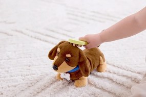 Set de veterinar - îngrijirea cățelușului Hape