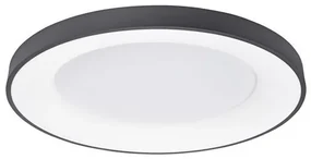Plafoniera LED 3000K moderna 60cm RANDO THIN negru NVL-9353853