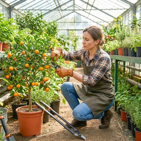 Outsunny Set de Grădinărit 2 Piese cu Foarfece de Tăiat Crengi și Foarfece de Grădinărit, cu Mâner Moale și Sistem de Blocare | Aosom Romania