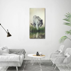 Print pe canvas Tigru alb