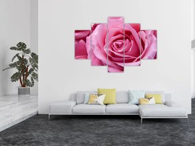 Tablou cu trandafir (150x105 cm)