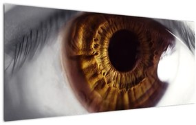 Tablou - Ochi (120x50 cm)