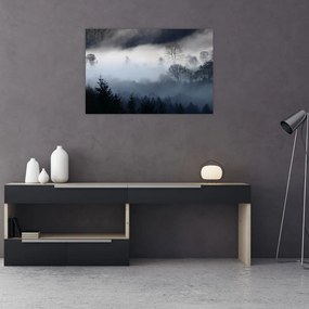 Tablou cu ceță deasupra pădurii (90x60 cm)