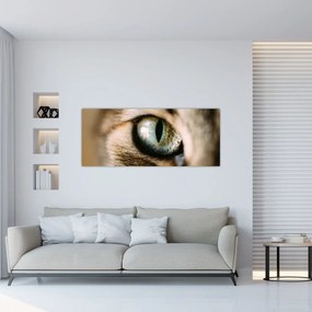 Tablou - Ochi de pisică (120x50 cm)