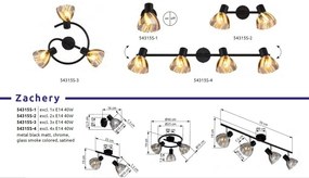 Plafoniera metal alama sticla chihlimbar ZACHERY 2L