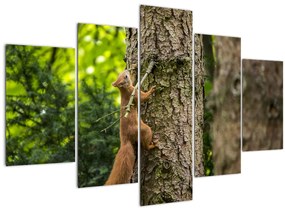 Tablou - Veverița (150x105 cm)