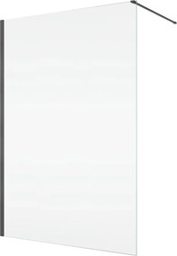 Paravan de dus tip Walk-in SanSwiss Easy 2.0 GunMetal periat 110x200 cm sticla securizata 8 mm