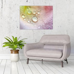 Tablou - Picături (70x50 cm)