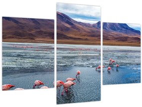 Tablou - Flamingo (90x60 cm)