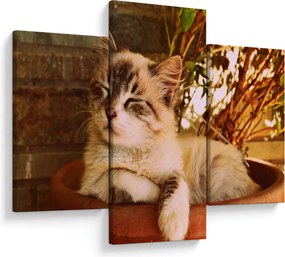 Tablou cu pisica în ghiveci (90x60 cm)