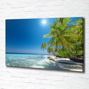 Tablou canvas Plaja maldive