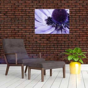 Tablou - Floare mov (70x50 cm)