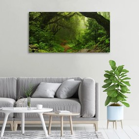 Tablou pe pânză Jungle în nepal