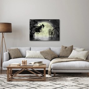 Tablou - Lună plină deasupra apei (70x50 cm)
