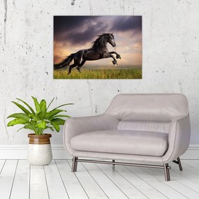 Tablou - Cai (70x50 cm)