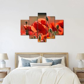 Tablou cu flori de maci (150x105 cm)