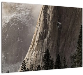 Tablou  din valea Yosemite parcul național, SUA (70x50 cm), în 40 de alte dimensiuni noi