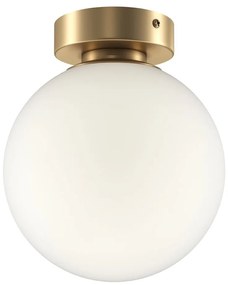 Aplica perete sau tavan design modern Basic form auriu, diametru 18cm