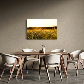 Tablou iarba cu rouă (90x60 cm)