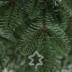 Brad Caucazian 100 % 210 cm