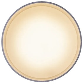 Globo 12015N - Plafonier LED JENNY LED/8W/230V + LED/4W/230V