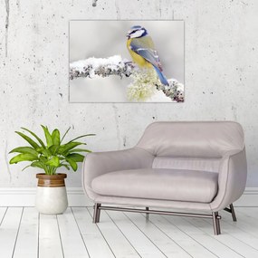 Tablou pe sticlă - Tit albastru în pădure (70x50 cm)