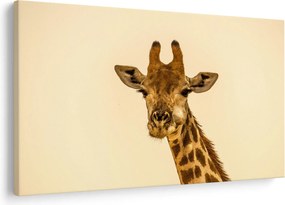 Tablou cu girafe (90x60 cm)