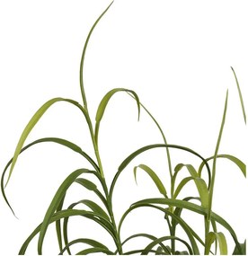 Plantă artificială (înălțime 89 cm) Grass – House Nordic