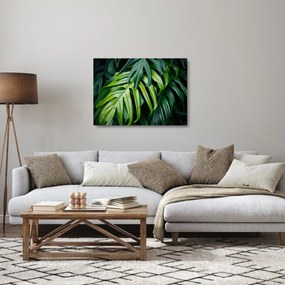 Tablou pe sticlă - Frunze tropicale (70x50 cm)